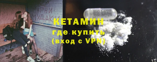 дживик Ельня