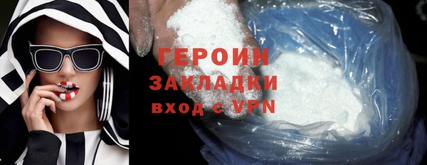 дживик Ельня