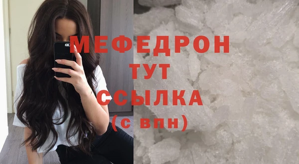 дживик Ельня