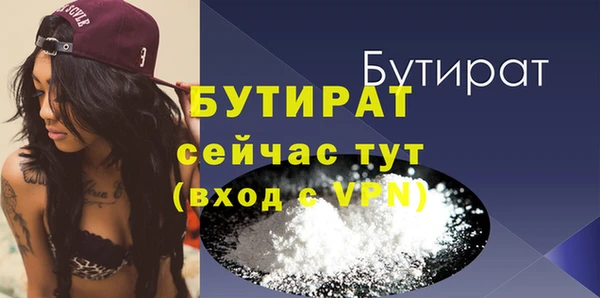 дживик Ельня