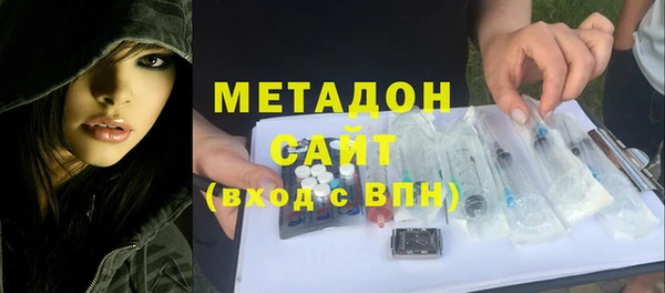 дживик Ельня