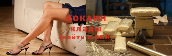 дживик Ельня