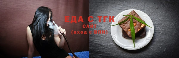 дживик Ельня