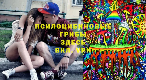 прущие крисы Елизово