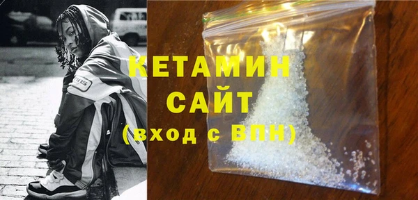 дживик Ельня
