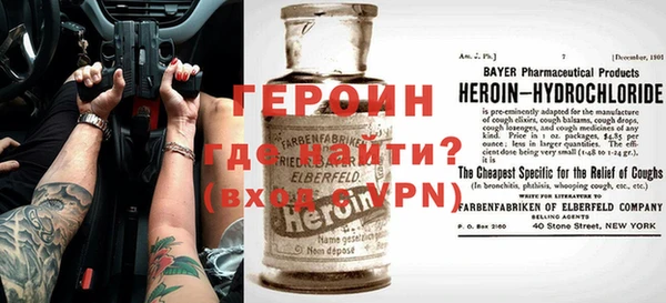 дживик Ельня