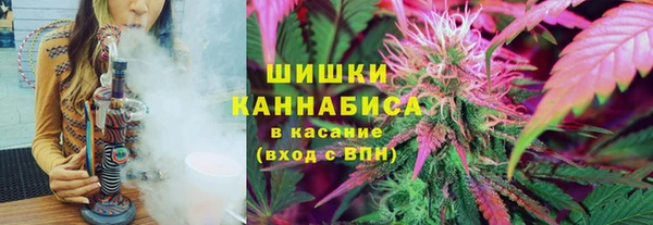 дживик Ельня