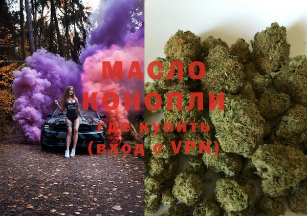 дживик Ельня