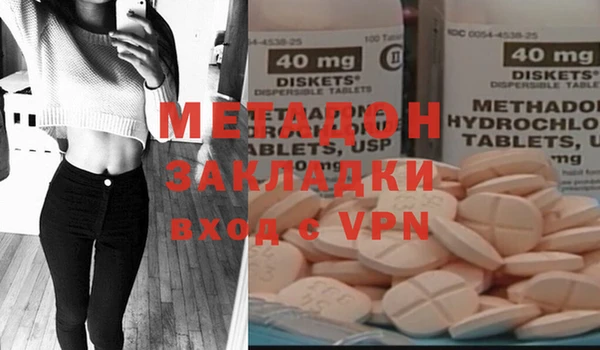 дживик Ельня