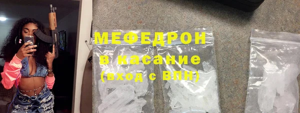 дживик Ельня
