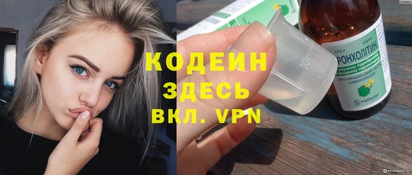 дживик Ельня