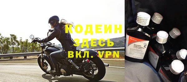 дживик Ельня