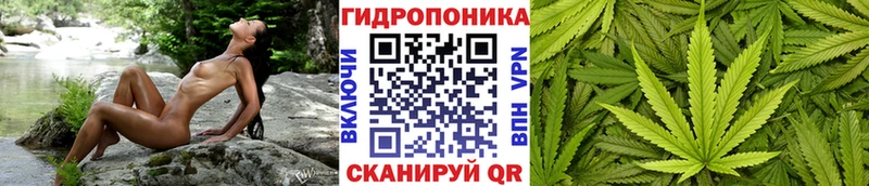 где найти наркотики  Избербаш  Бошки марихуана гибрид 